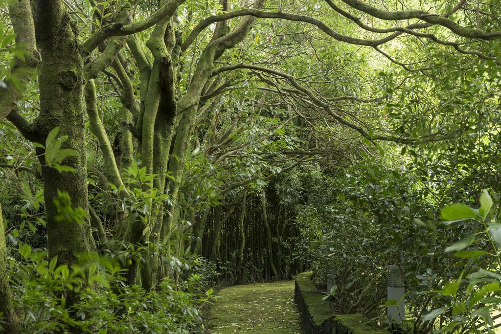 Quinta Da Mo Guest House Furnas  Exterior photo